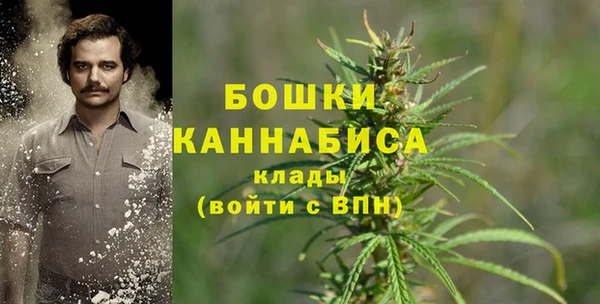 Альфа ПВП Чекалин